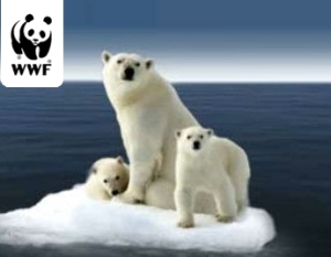 WWF Adopt a Polar Bear